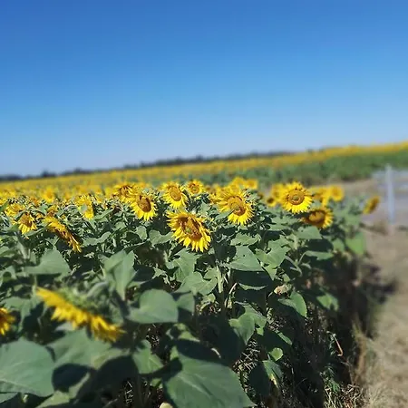 Chez Clion * Lorigné